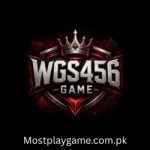 WGS456 Game