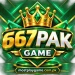 Modern 667Pak Game logo with mostplaygame.com.pk
