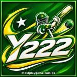 Y222 Game logo with green cricket design